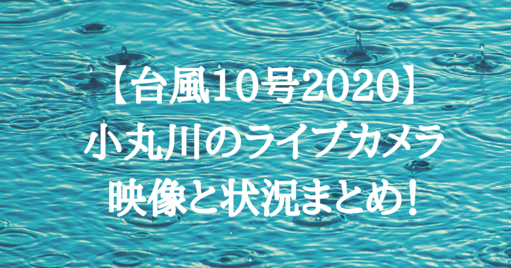 【台風10号2020】小丸川のライブカメラ映像と状況まとめ！水位や氾濫の恐れはどのくらい？