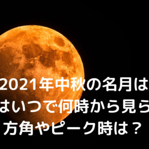 米山隆一氏の天才とも言える経歴まとめ 結婚歴や子供はいるの Monjiroblog