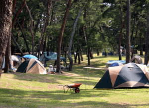 長野県キャンプ場おすすめ人気ランキング コテージや温泉の情報も Ami S Diary
