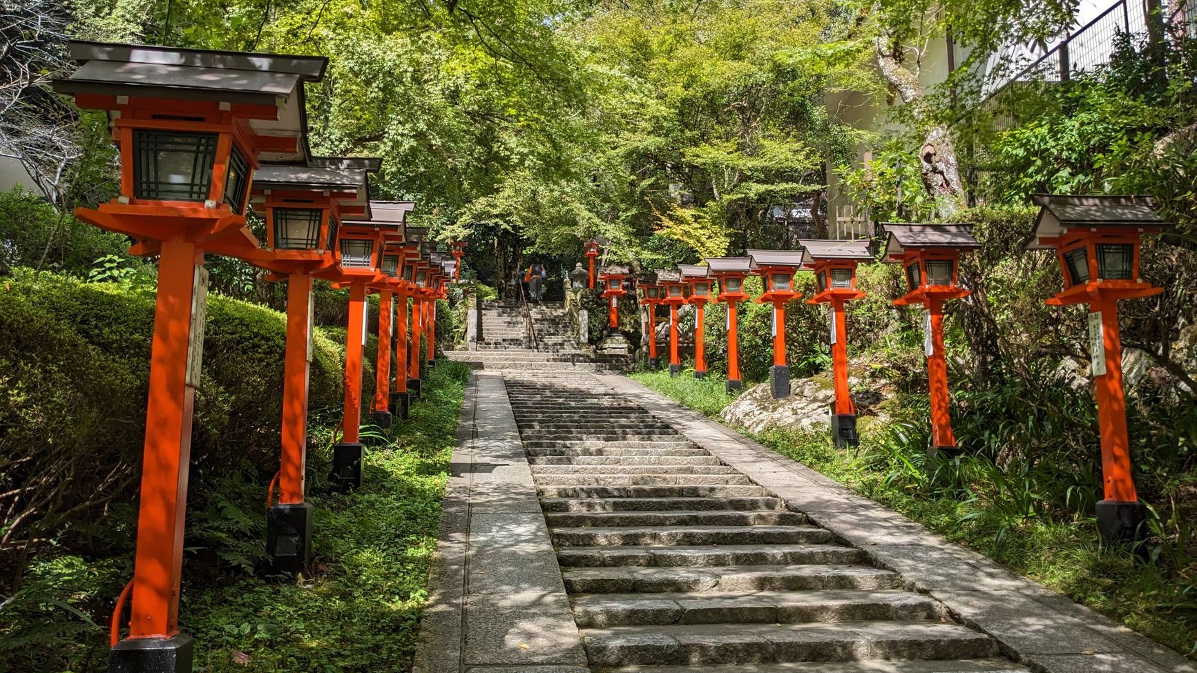参拝前に知りたい境内のご利益スポット
