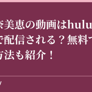安室奈美恵の動画はhuluでいつまで配信される？無料で視聴する方法も紹介！