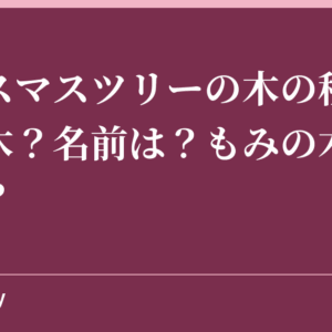 クリスマスツリーの木の種類は何の木？名前は？もみの木の理由は？