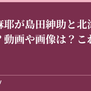 小林麻耶が島田紳助と北海道旭川へ？動画や画像は？これアカン！