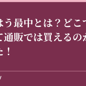 てつはう最中とは？どこで購入できて通販では買えるのか調べてみた！