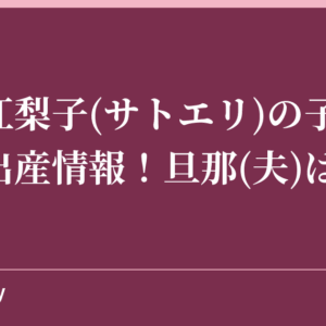 佐藤江梨子(サトエリ)の子供妊娠と出産情報！旦那(夫)は誰？