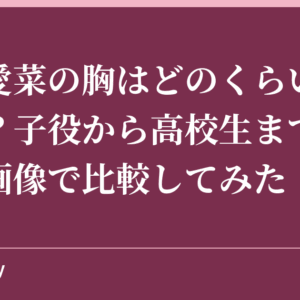 芦田愛菜の胸はどのくらいのサイズ？子役から高校生までの成長を画像で比較してみた！