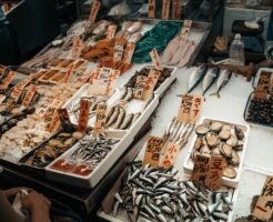 子持ちヤリイカはどこで買える？店舗・通販の探し方完全ガイド